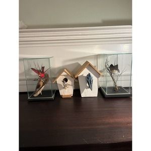 4 Vintage Signed Menard Cabot VT Hand Carved Bird Sculptures Decoys, Cardinals